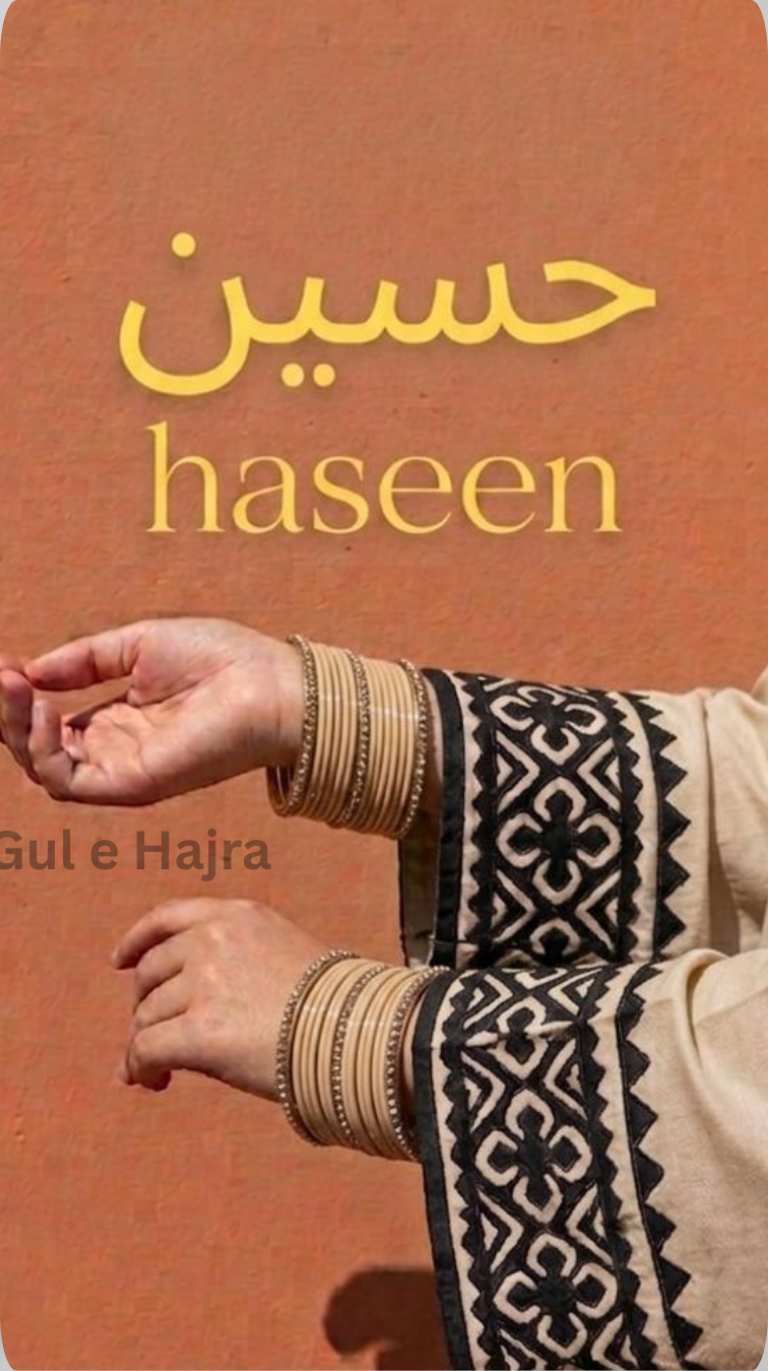 Haseen - Beige and Black