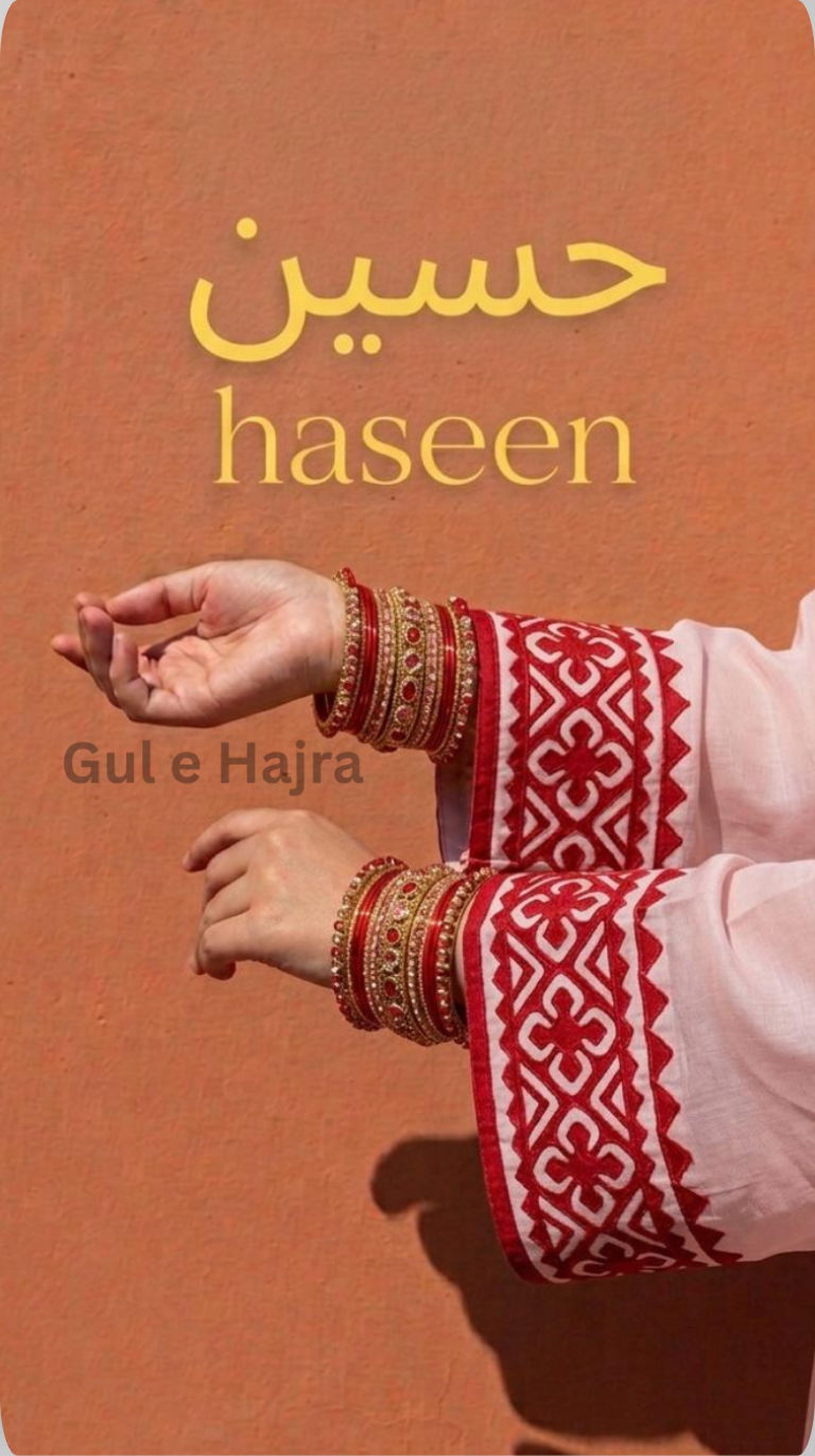 Haseen - Pink and Red